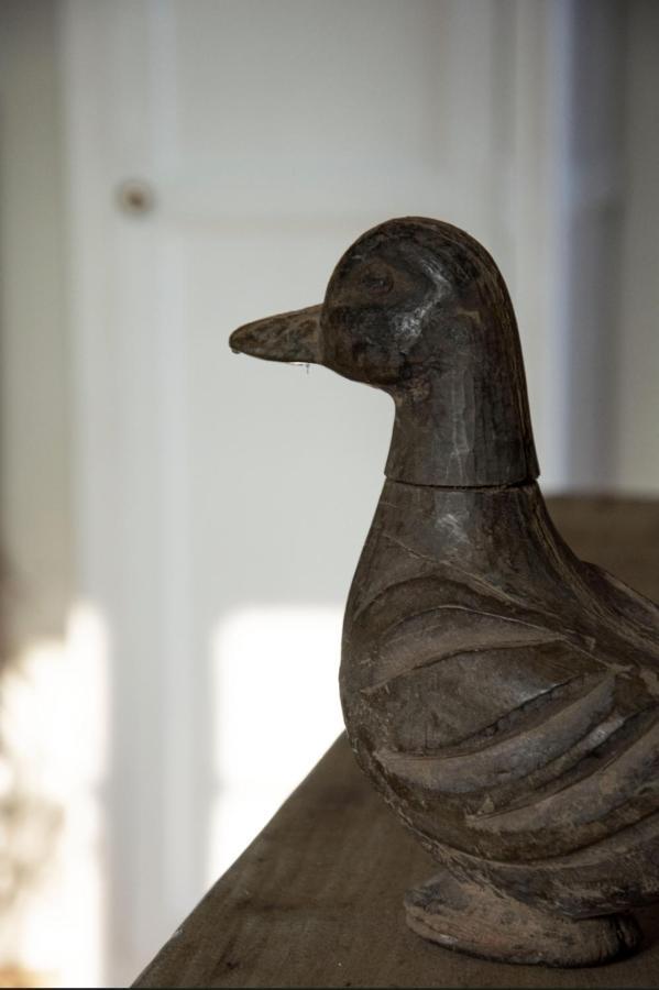 Le Roi Des Oiseaux - Gite A La Campagne Montcavrel المظهر الخارجي الصورة