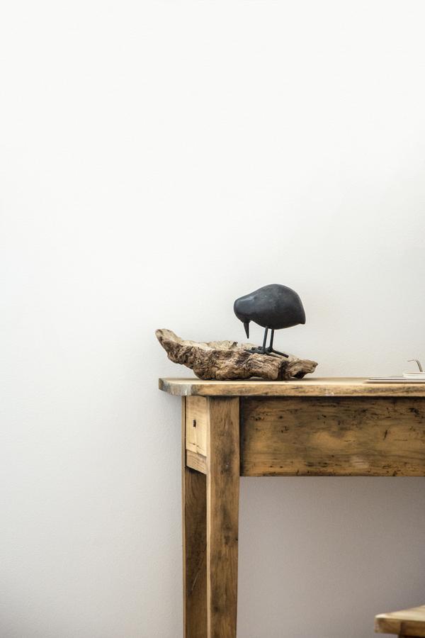 Le Roi Des Oiseaux - Gite A La Campagne Montcavrel المظهر الخارجي الصورة